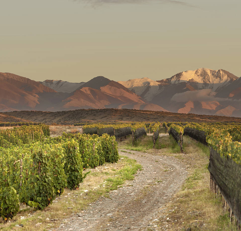 Argentinian Wine Dinner